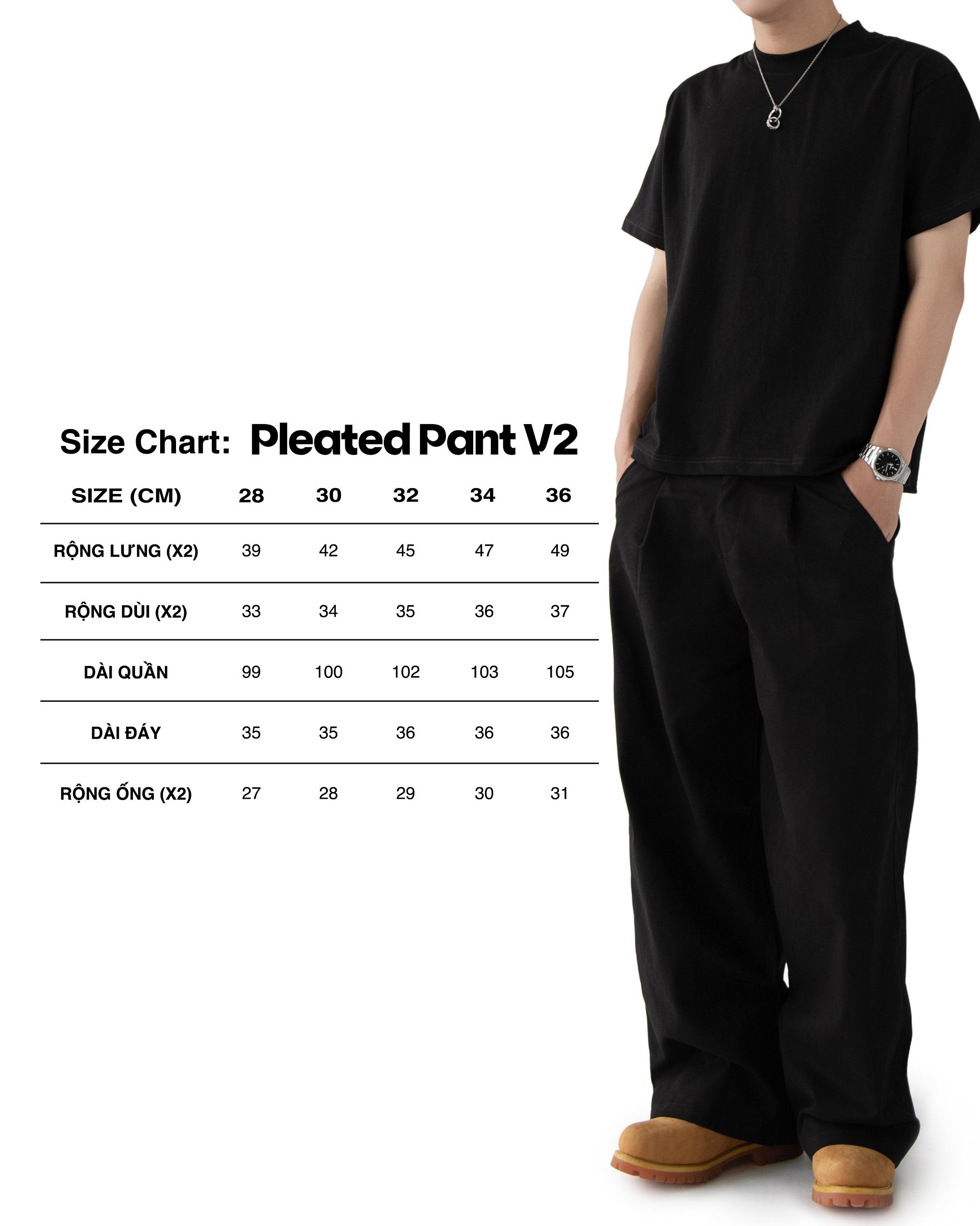 TUMS PLEATED PANT V2
